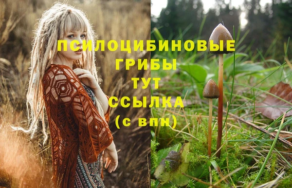 таблы Волоколамск