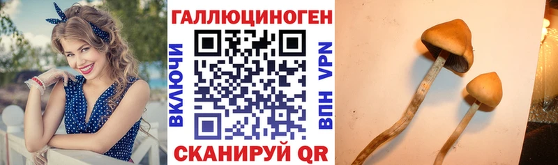 Галлюциногенные грибы Magic Shrooms Канаш